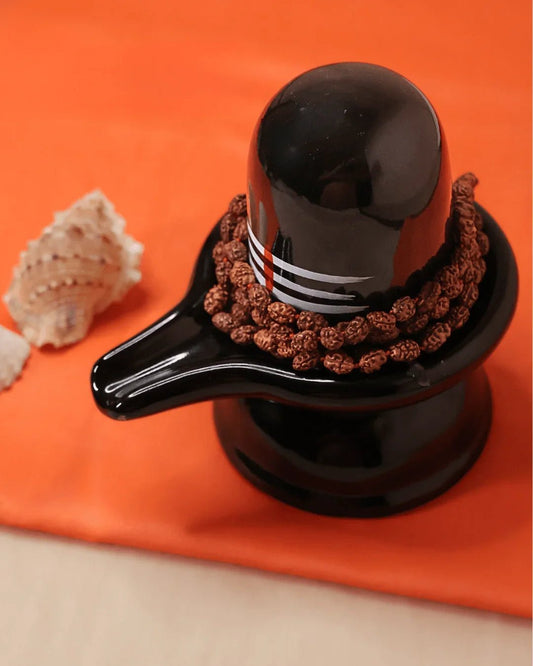 Certified 2 Mukhi Rudraksha Jaap Mala - Buy Online at My Store