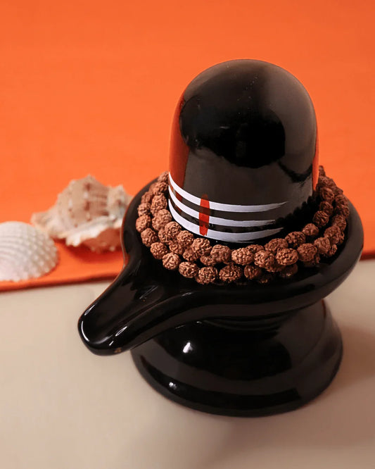 Certified 3 Mukhi Rudraksha Jaap Mala - Buy Online at My Store