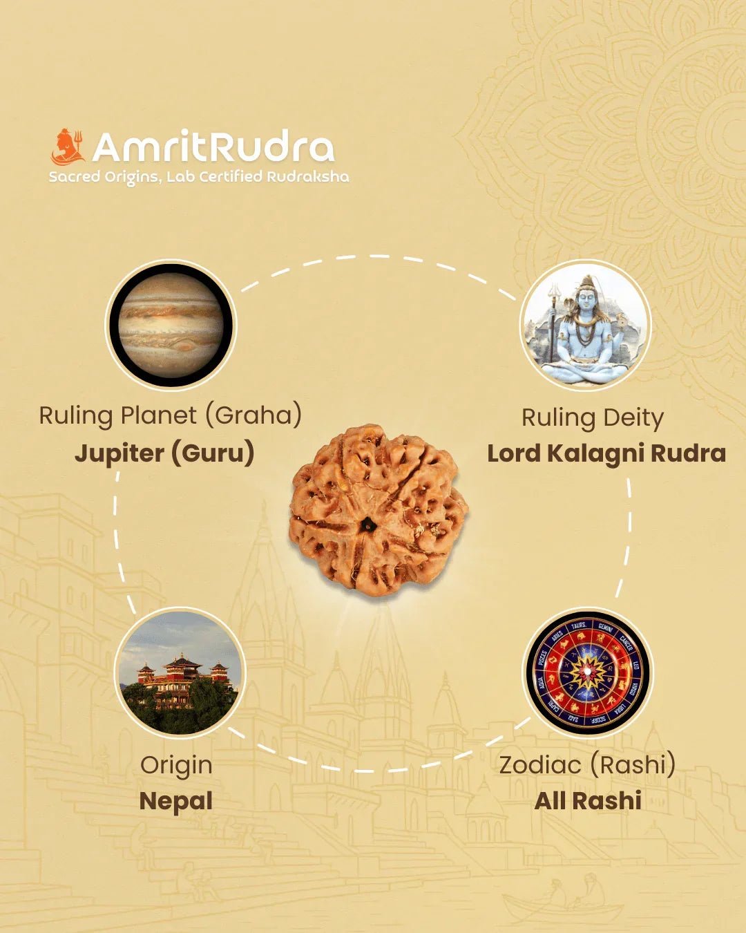 Certified 5 Mukhi Rudraksha Jaap Mala - Buy Online at My Store