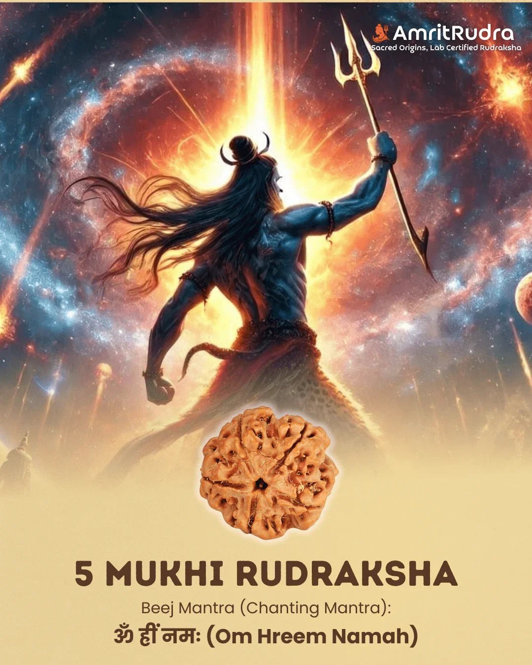 Certified 5 Mukhi Rudraksha Mala with Silver - Plated Accents - Buy Online at My Store