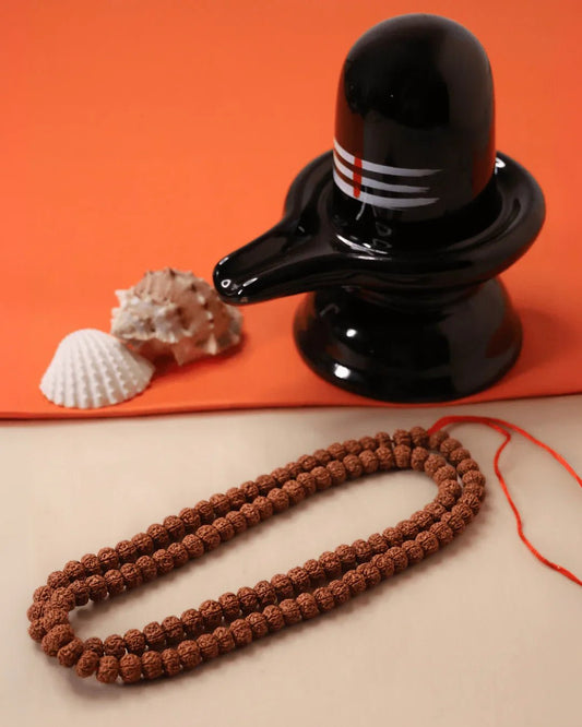 Certified 6 Mukhi Rudraksha Jaap Mala - Buy Online at My Store